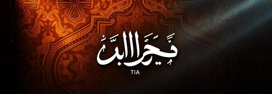 مسلسل النص